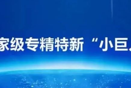 我司榮獲國(guó)家級(jí)專(zhuān)精特新“小巨人”企業(yè)榮譽(yù)